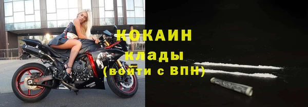 дживик Верея