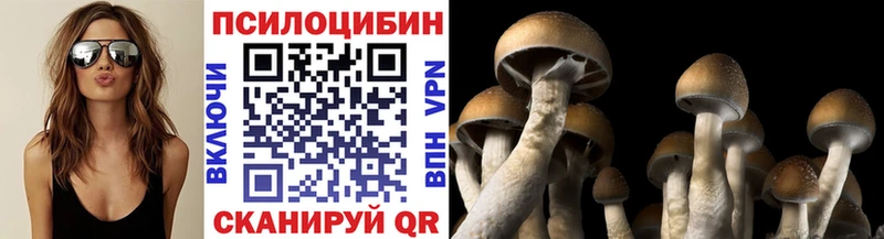 Псилоцибиновые грибы мицелий  hydra как войти  Черногорск 